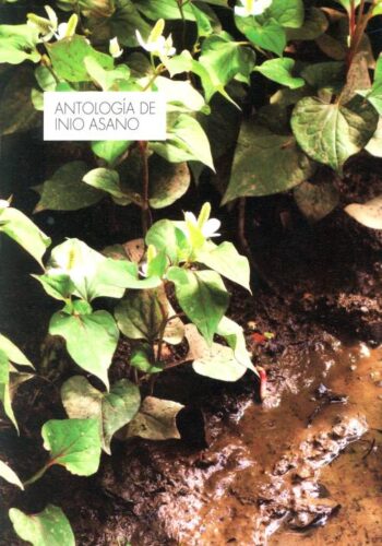 Lee más sobre el artículo Antología de Inio Asano [13/13] [MANGA] [PDF]